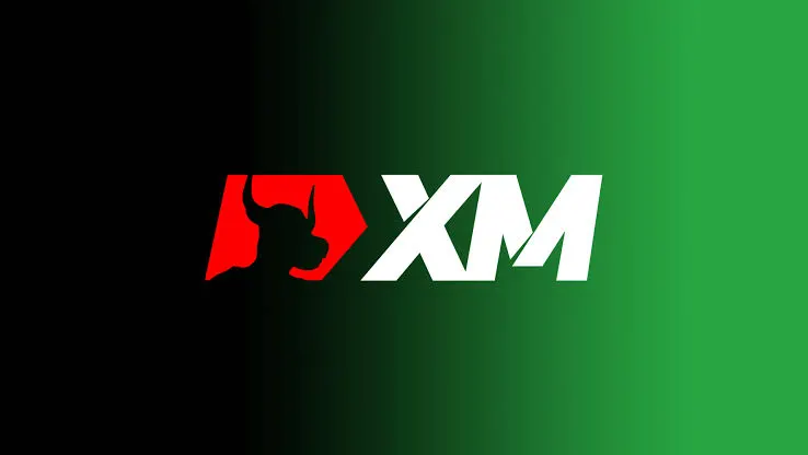 8 Best High Leverage Forex Brokers in 2026