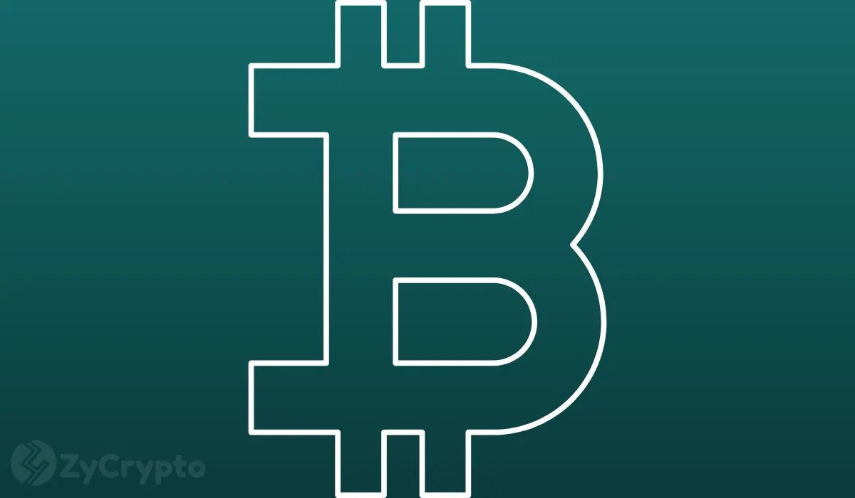 Corporate Bitcoin Holdings Hit 1.3M BTC — Almost All of the Growth Came From One Company