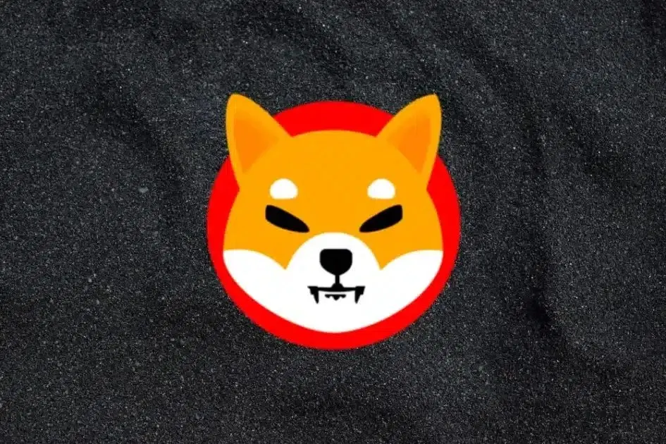 Shiba Inu Veteran Warns as 500 Billion SHIB Lands in Binance Hacker Wallet